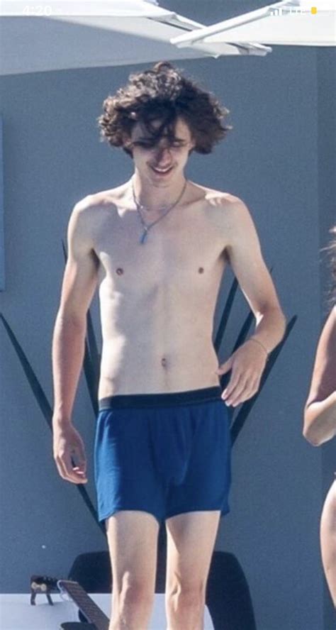 timothee chalamet cock|TIMOTHEE CHALAMET Nude